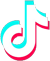 TikTok Icon